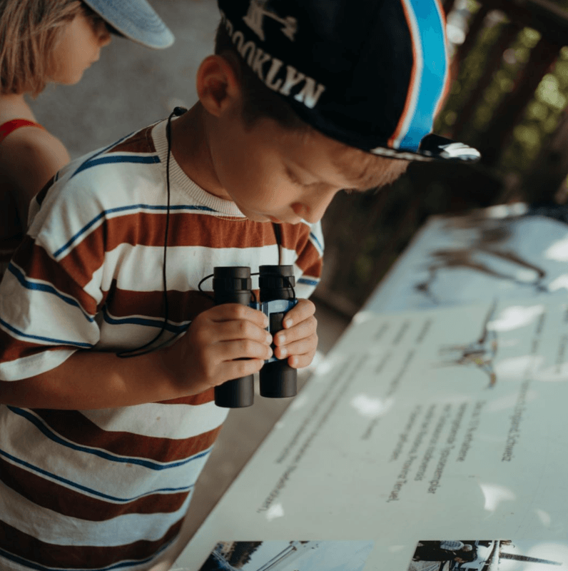 Kidywolf Barnekikkert KIDYBINOCULARS, Lett og Robust Kikkert